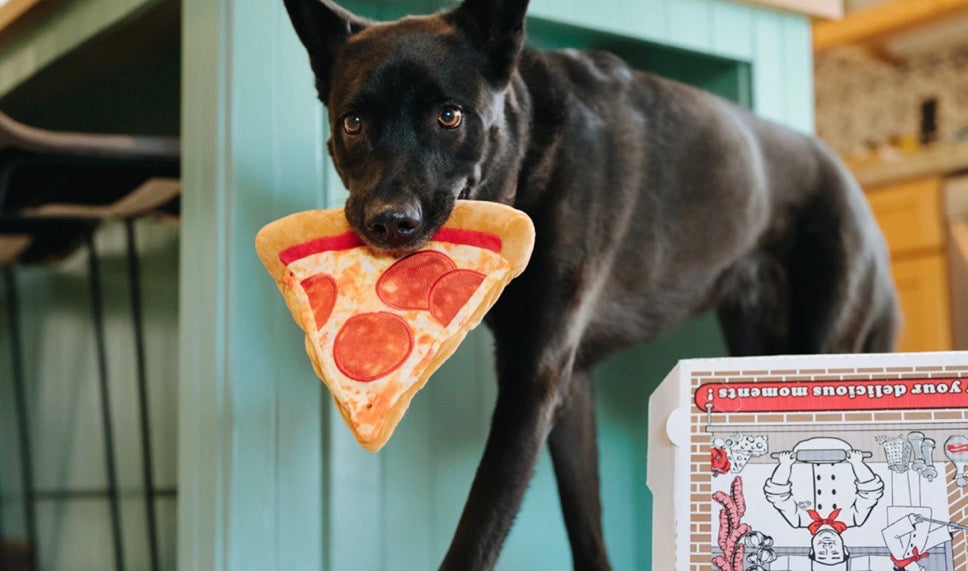 P.L.A.Y PUPPY-RONI PIZZA