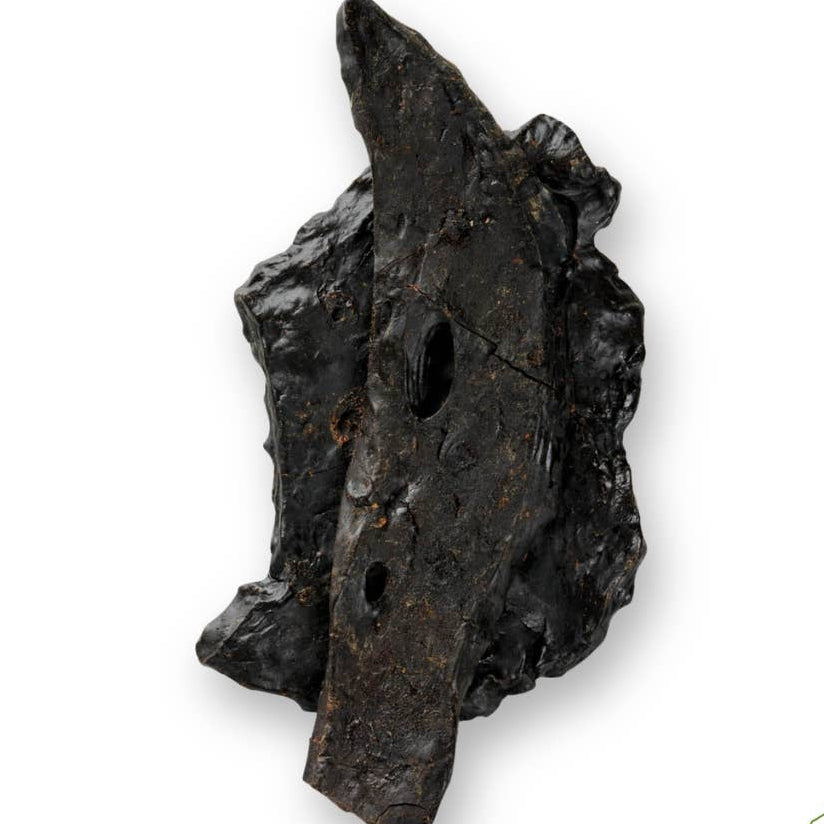 Reinsdyrlever (100 g)