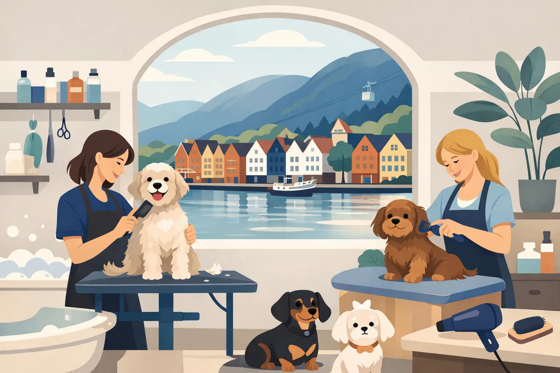 Personlig hundesalong i Bergen