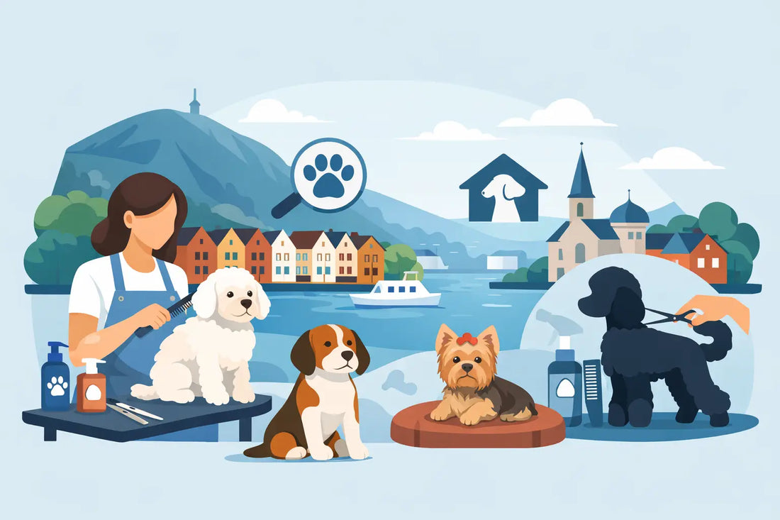 Hundesalong Bergen - slik velger du riktig