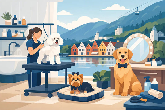 Premium hundesalong i Bergen - hva skiller?