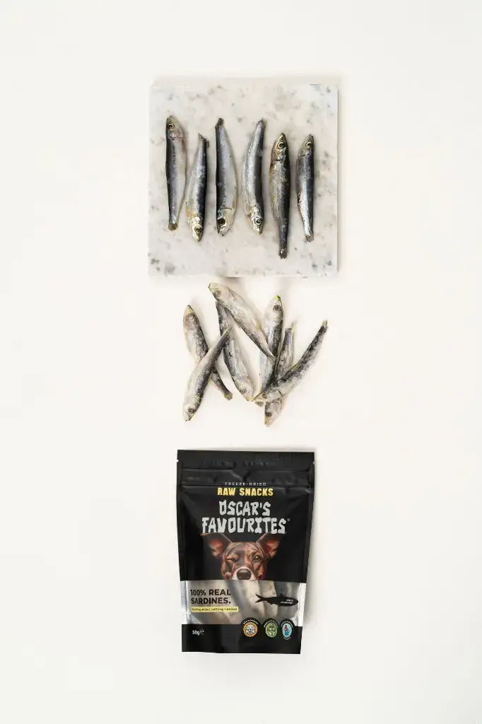 Oscar’s Frysetørkede Sardiner (50g)