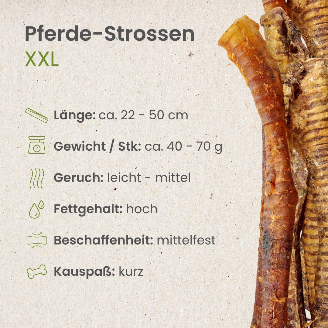 Horse Stopes XXL