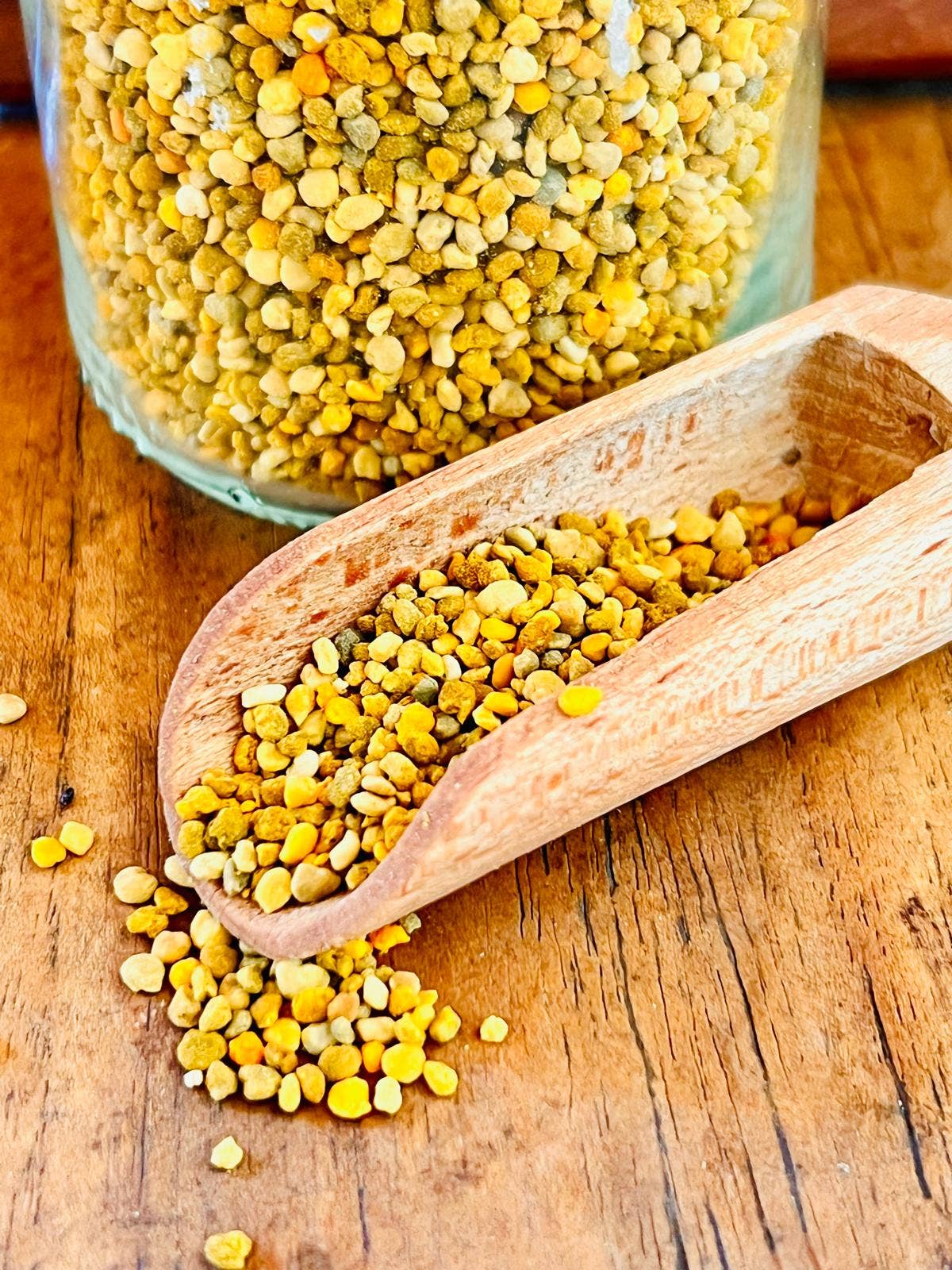 Bee-Magic Bipollen til hunder og katter