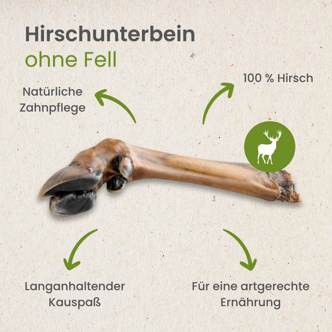 Deer lower leg without fur