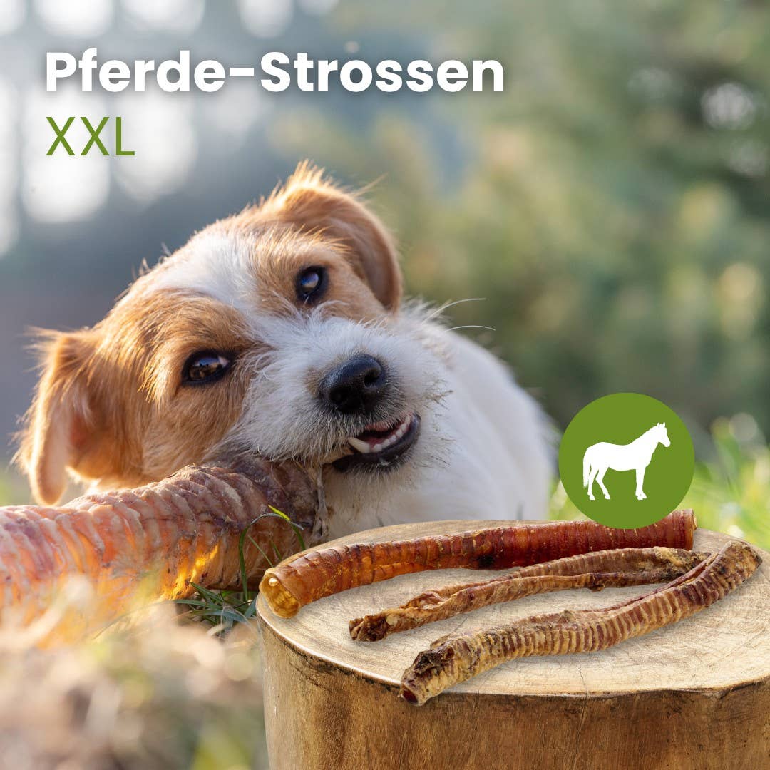 Horse Stopes XXL