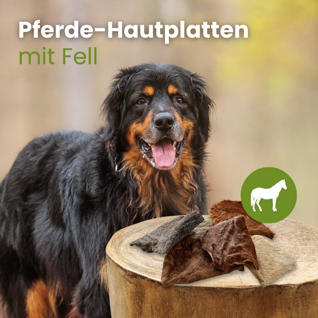 Horse skin plates with fur: 500g