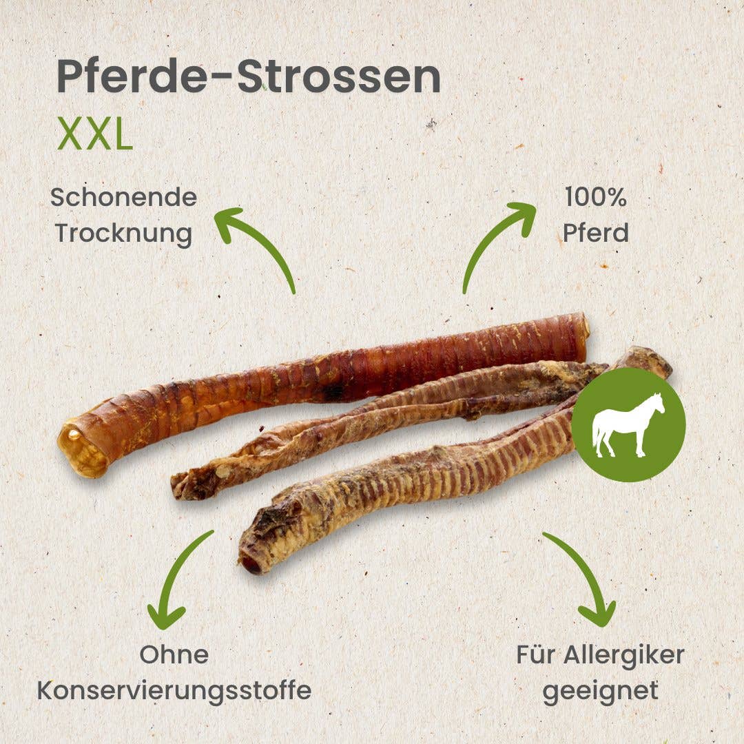 Horse Stopes XXL