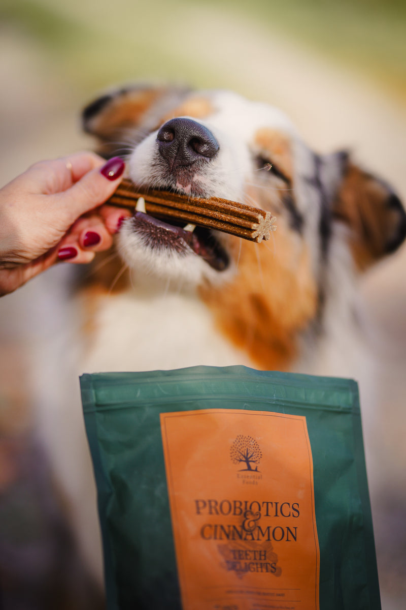 PROBIOTICS & CINNAMON TEETH DELIGHTS