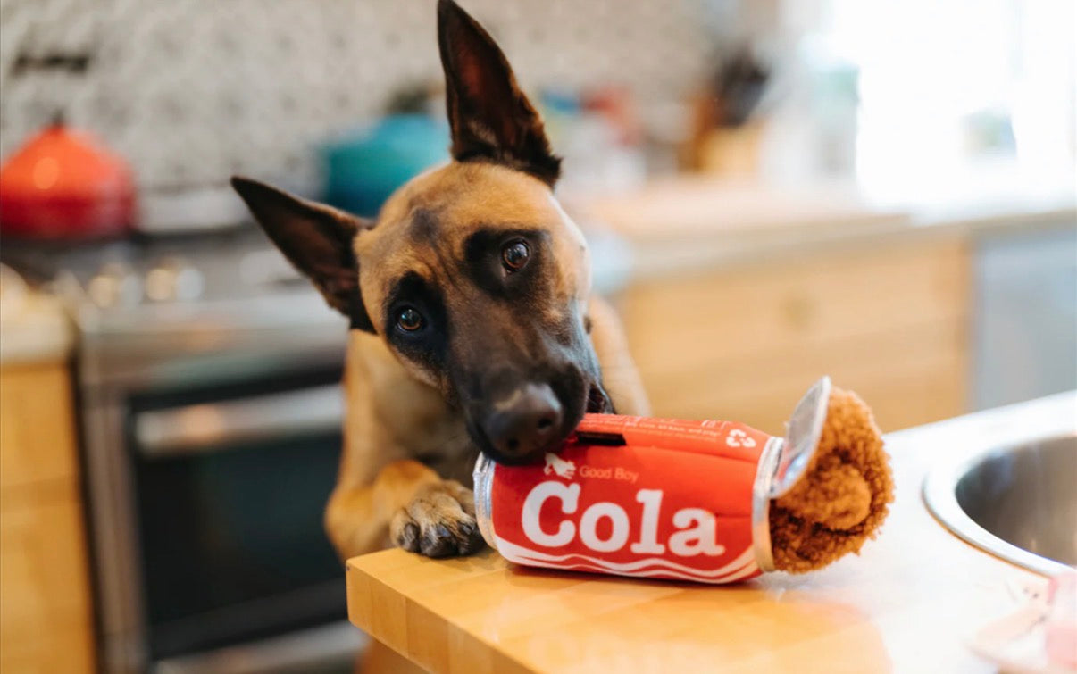 P.L.A.Y GOOD BOY COLA