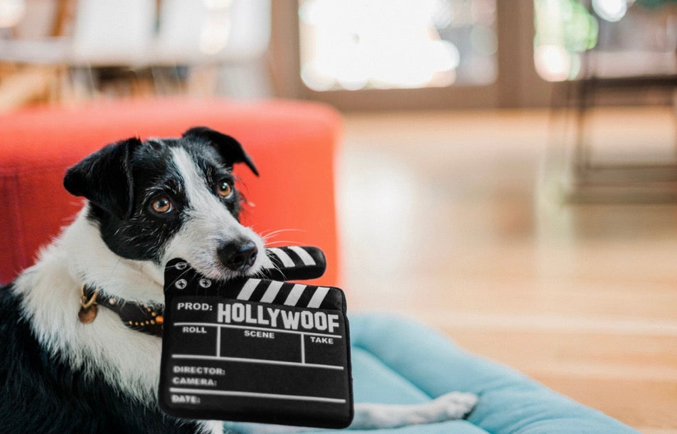 P.L.A.Y HOLLYWOOF