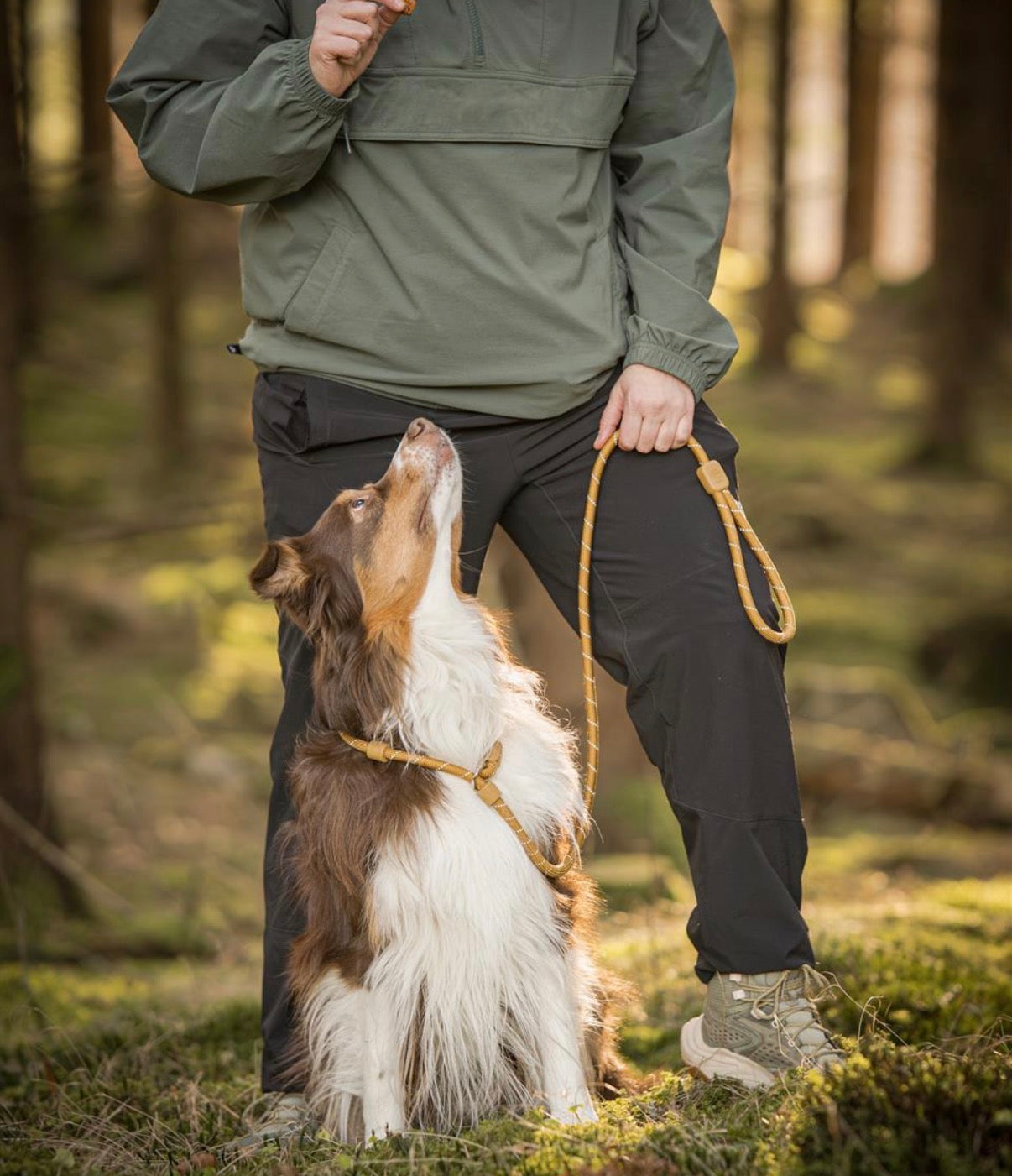RETRIEVER BÅND MED STOPPER 11MM WOODBROWN
