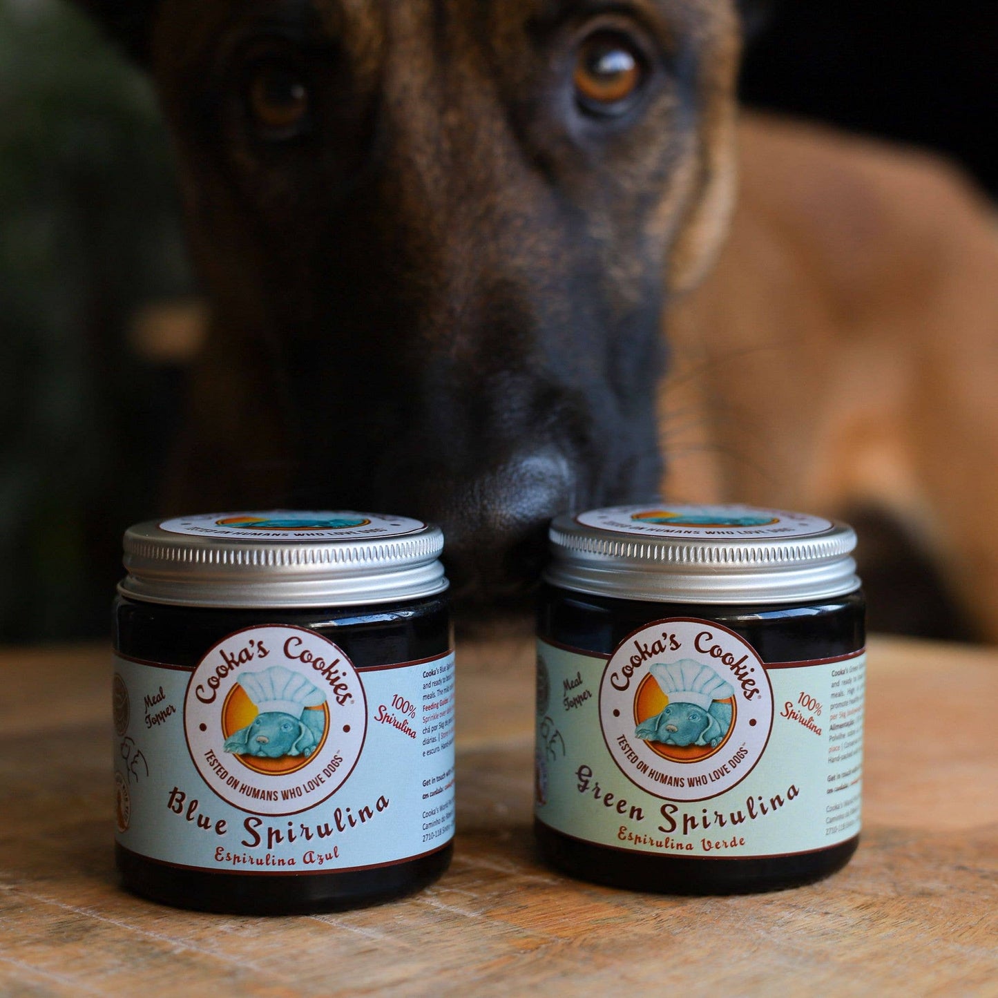 Blue Spirulina - Meal Topper | Blå spirulina for hunder og katter