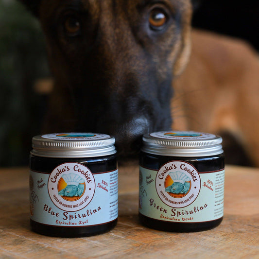 Blue Spirulina - Meal Topper | Blå spirulina for hunder og katter