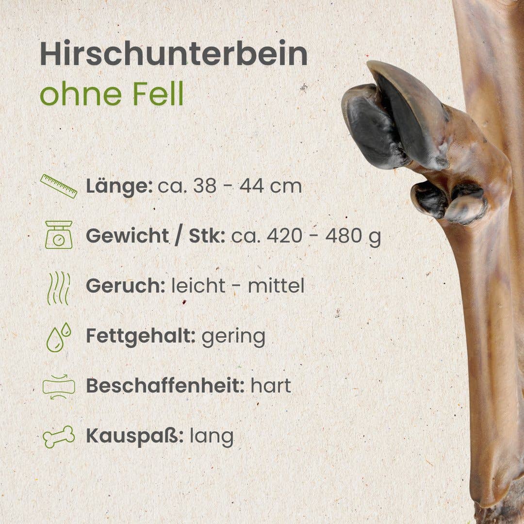 Deer lower leg without fur